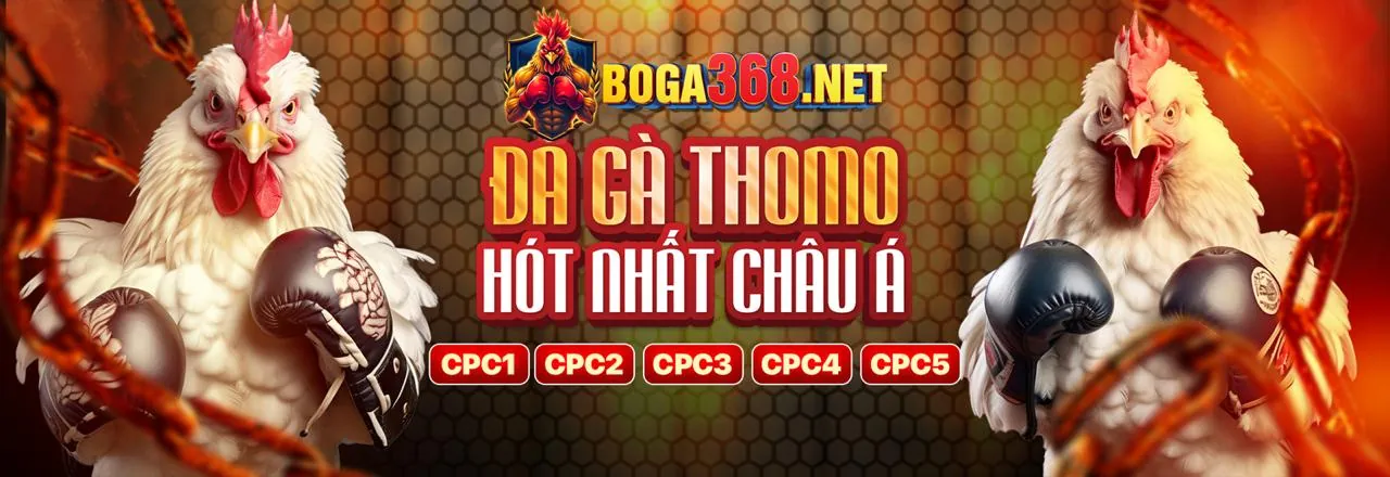Đá Gà Trực Tuyến YB88 Link Vào Chính Thức